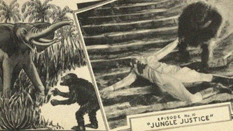 кадр из фильма The King of the Kongo