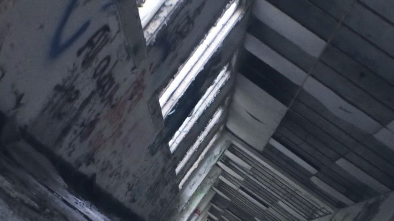 кадр из фильма The Widow in White