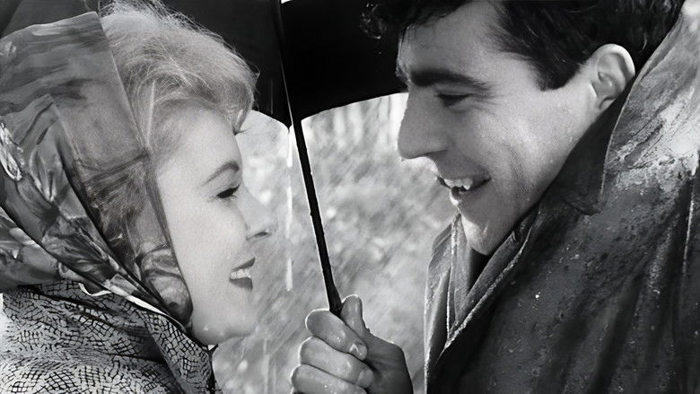 кадр из фильма A Kind of Loving