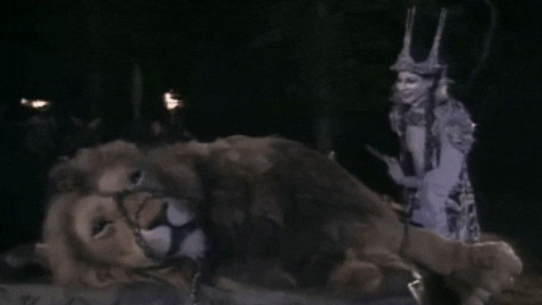 кадр из фильма The Chronicles of Narnia: The Lion, the Witch & the Wardrobe