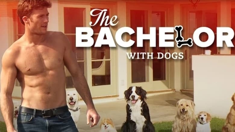 кадр из фильма The Bachelor with Dogs and Scott Eastwood