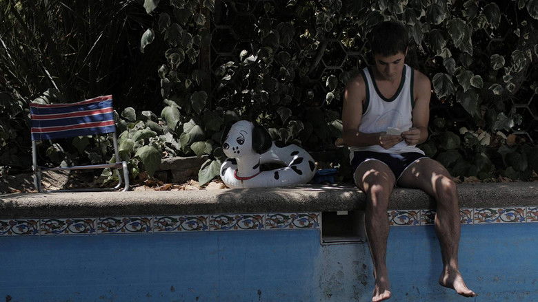 кадр из фильма Хвост обезьяны