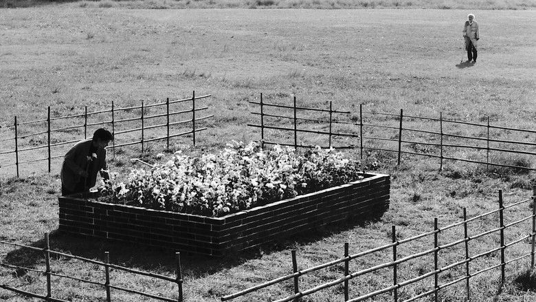 кадр из фильма 箱