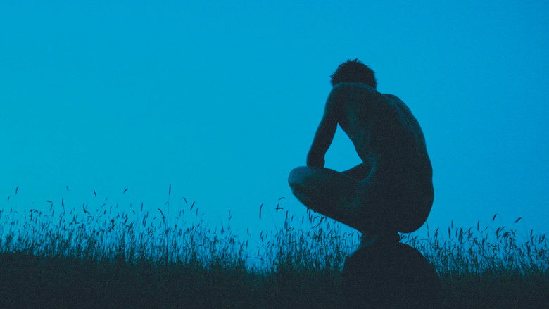 кадр из фильма Cowboy