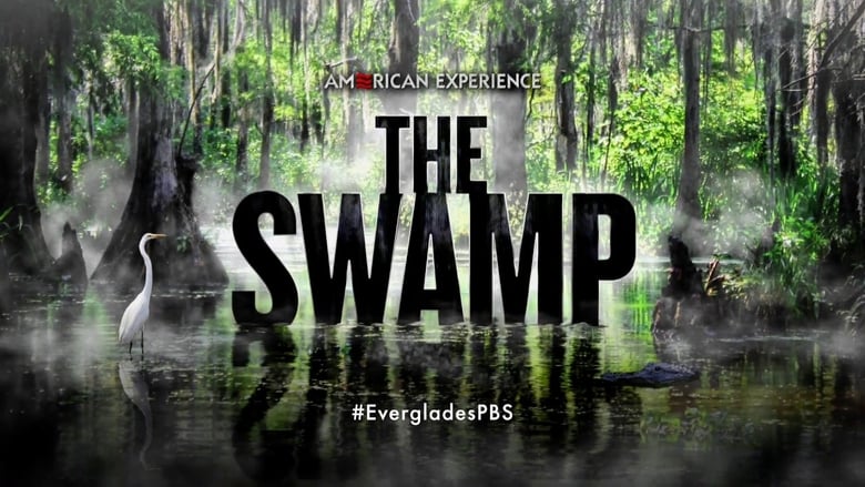 кадр из фильма The Swamp