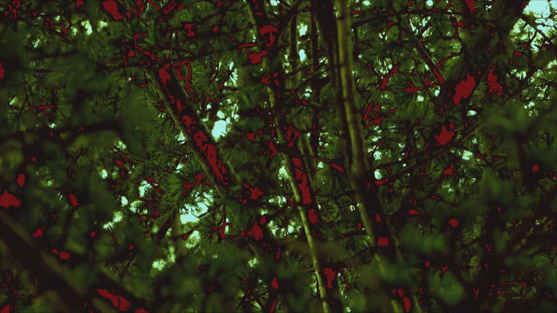 кадр из фильма 