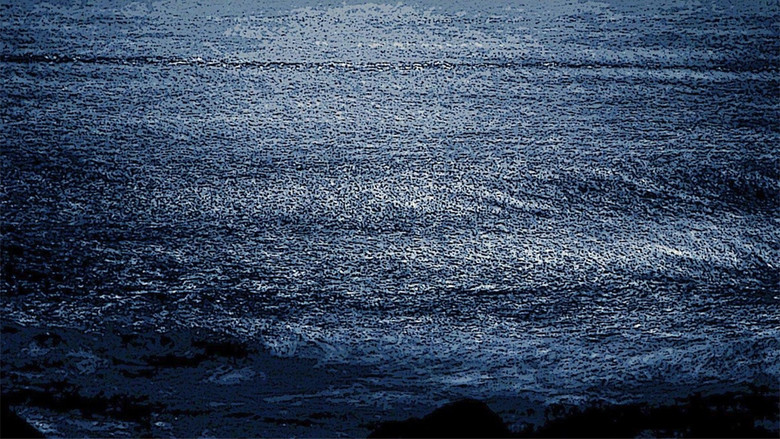 кадр из фильма We Put the World to Sleep