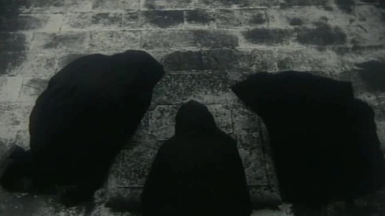 кадр из фильма Sunt lacrimae rerum