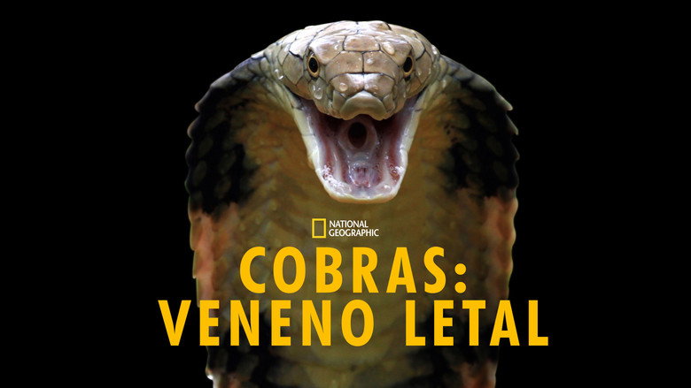 кадр из фильма Killer Snakes