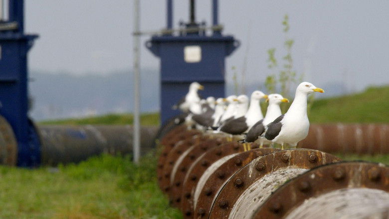 кадр из фильма Wild Port of Europe