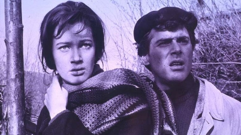 кадр из фильма Пароль «Виктория»