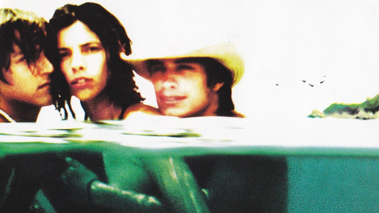 кадр из фильма И твою маму тоже