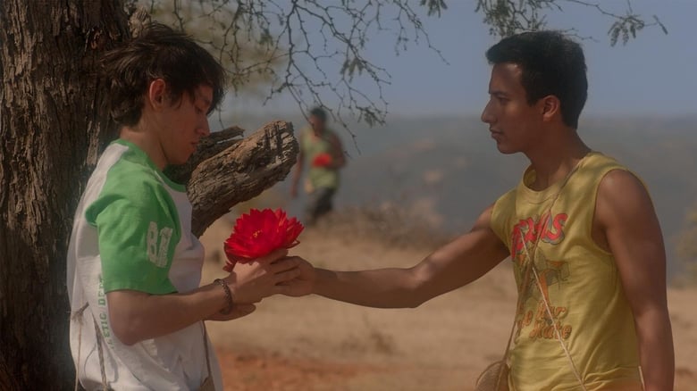 кадр из фильма El tigre y la flor