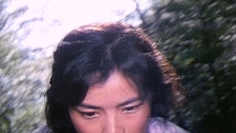 кадр из фильма 小花