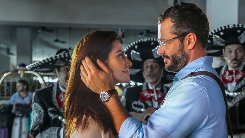 кадр из фильма Qualquer Gato Vira-Lata 2