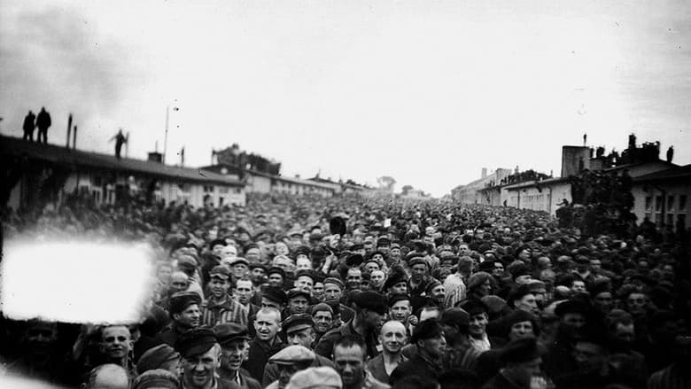 кадр из фильма Les Résistants de Mauthausen