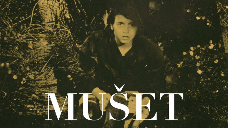 кадр из фильма Мушетт