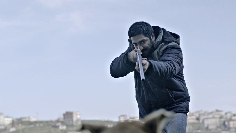 кадр из фильма Безумие