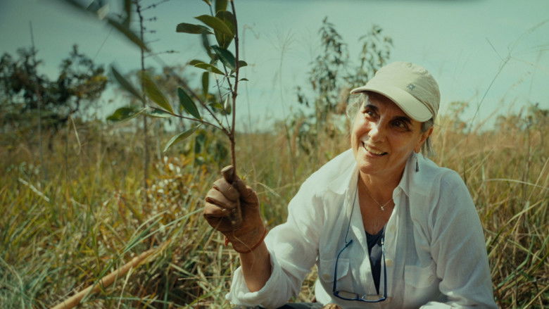 кадр из фильма Planter à tout prix - Des arbres pour sauver la planète ?