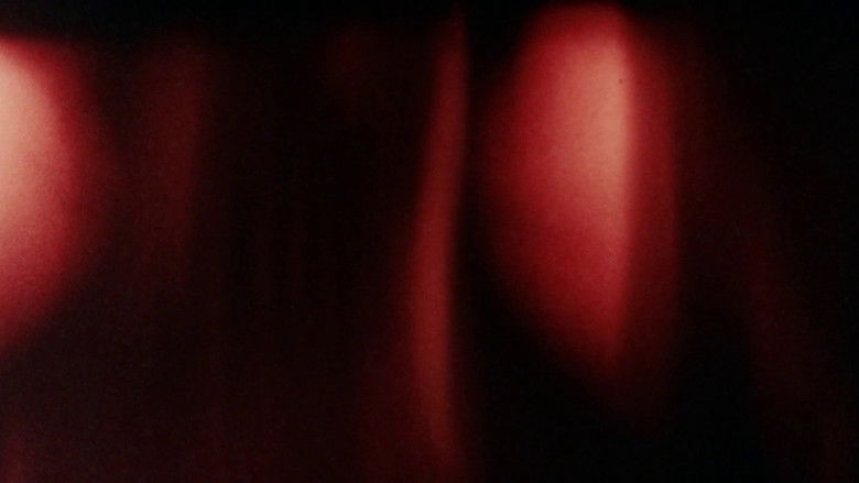 кадр из фильма The Visible Material