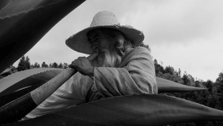 кадр из фильма Tzithu