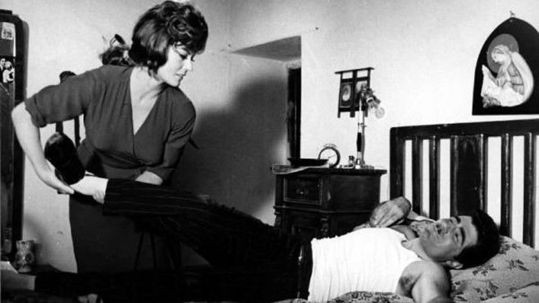 кадр из фильма Bianco, rosso, giallo, rosa