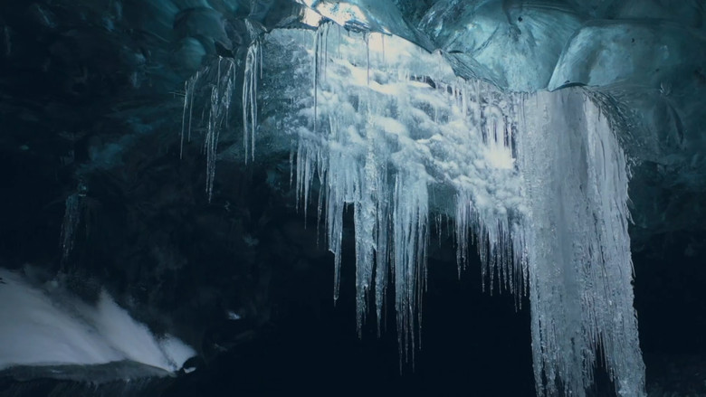 кадр из фильма Nature : pour une réconciliation