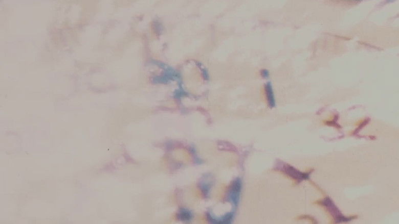 кадр из фильма Watersmith