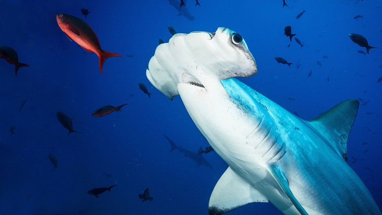 кадр из фильма Untamed Costa Rica with Filipe DeAndrade