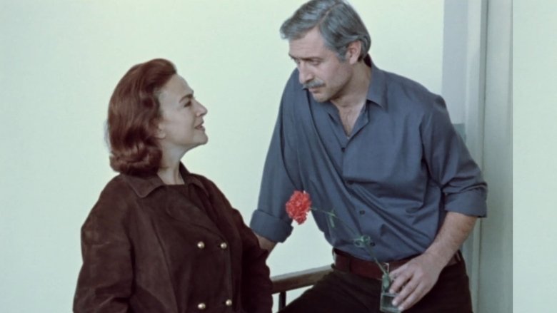 Тёплое осеннее солнце