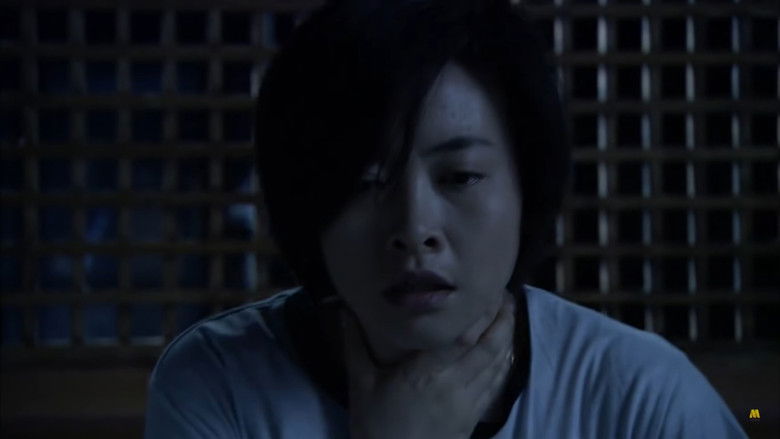 кадр из фильма 失踪