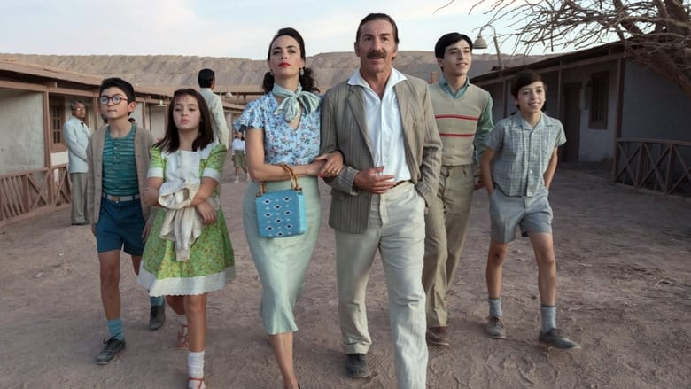 кадр из фильма Расскажи мне кино