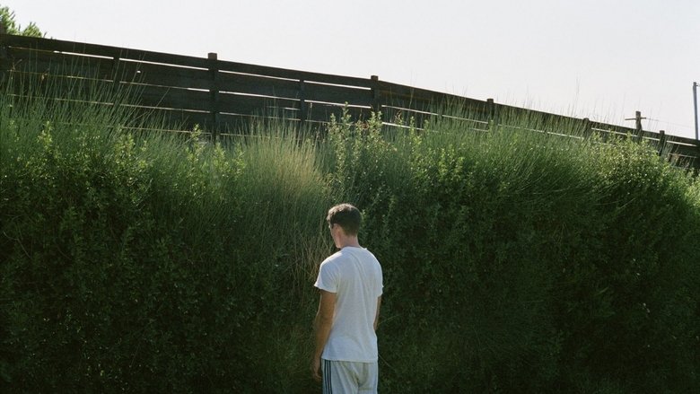 кадр из фильма Клык