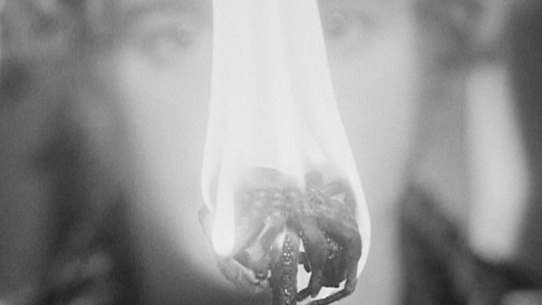 кадр из фильма Фандо и Лис