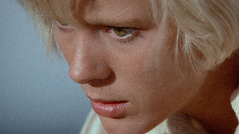 кадр из фильма Дорога на Салину