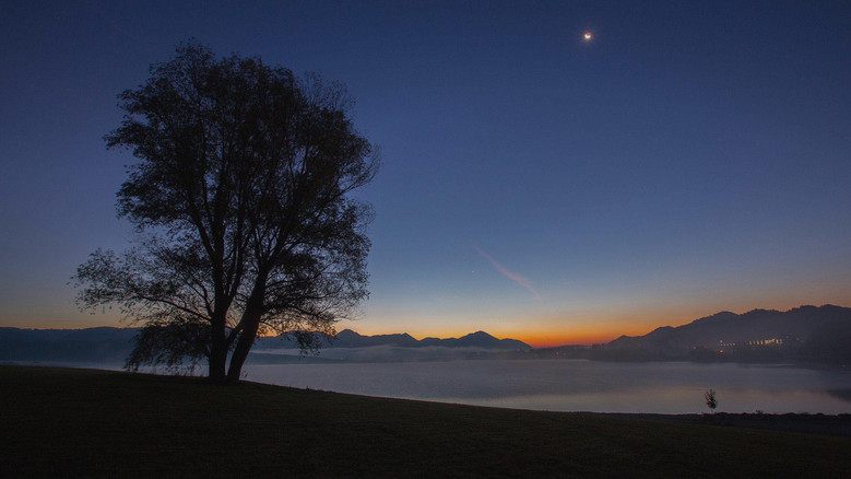 кадр из фильма Ptice jezer, njihova vrnitev