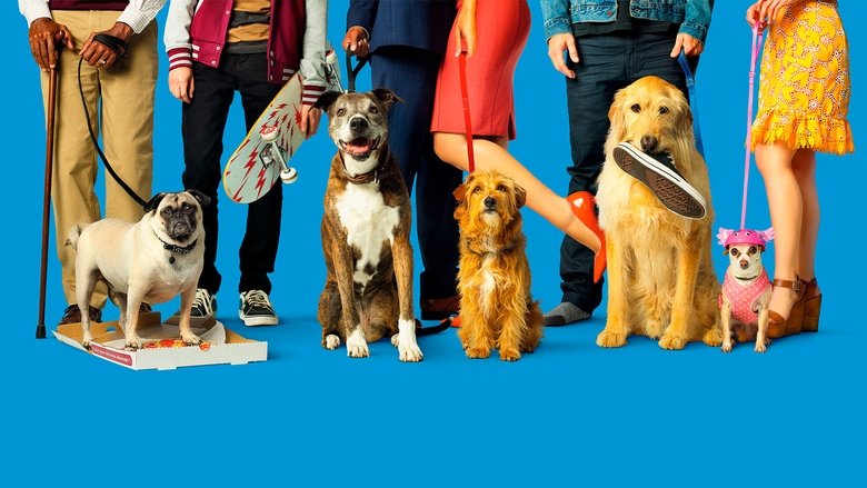 кадр из фильма Собачьи дни