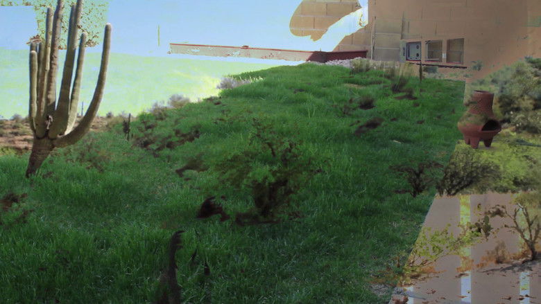 кадр из фильма Entrance to the Grand Burial Chamber