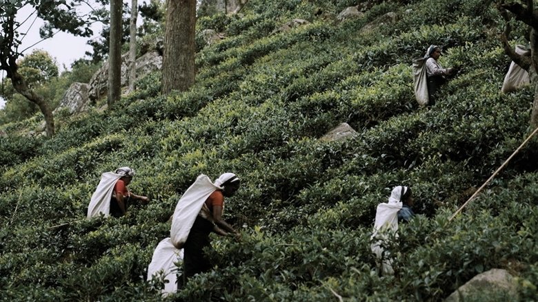 кадр из фильма Responsables