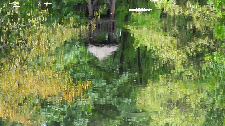 кадр из фильма Γράμμα από την Ψαρούπολη