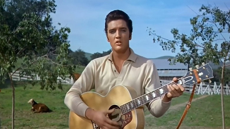 кадр из фильма Loving You