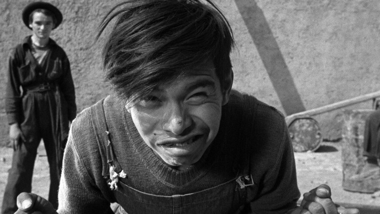 кадр из фильма Забытые