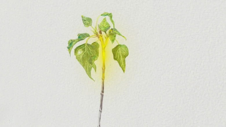 кадр из фильма L'incroyable Royaume des Plantes