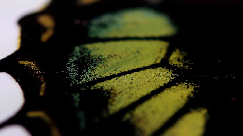 кадр из фильма ¡Oh Mariposa! ¿Qué sueñas cuando agitas tus alas?