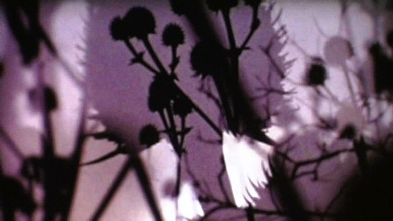 кадр из фильма The Lights & Perfections