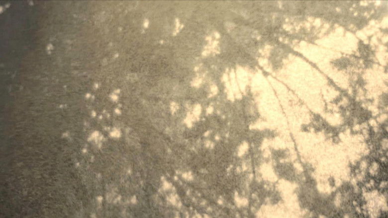 кадр из фильма Wordless in Woods