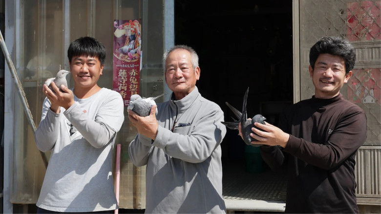 кадр из фильма 揹笭的粉鳥