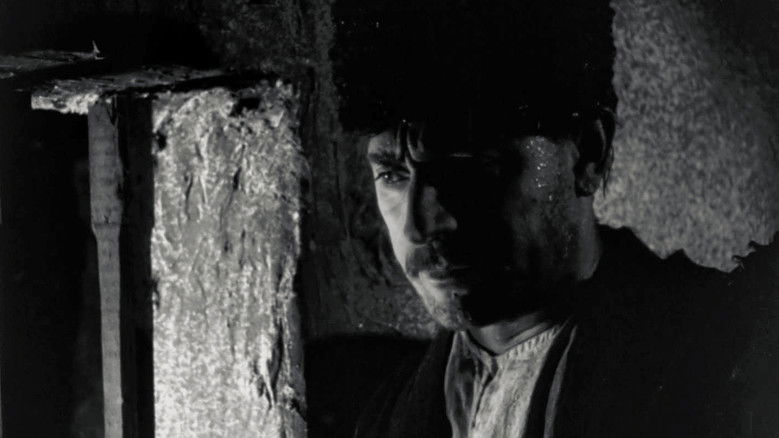 кадр из фильма Алим