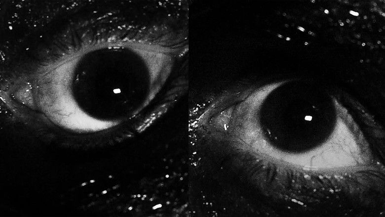 кадр из фильма cat vs rat