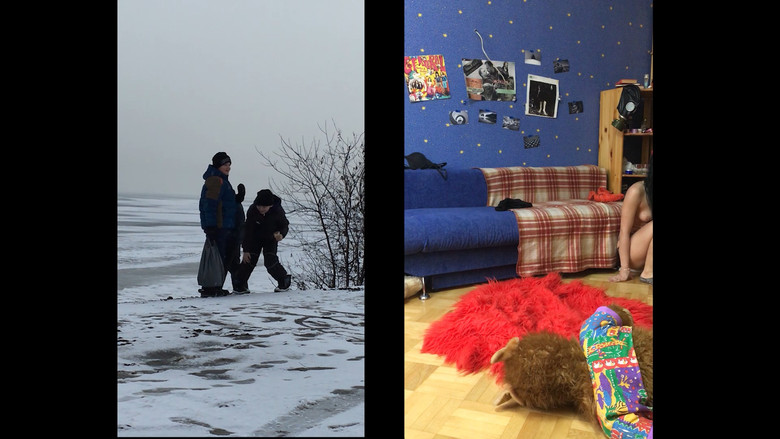 кадр из фильма Кролики в свете фар